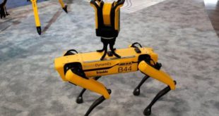 Hyundai robot üreticisi Boston Dynamics’i satın alıyor