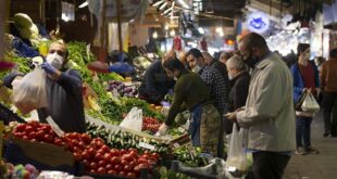 Bakanlık duyurdu: Kış öncesi sebze fiyatları için 'iş birliği' kararı